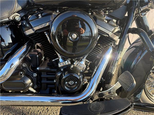 2019 HARLEY-DAVIDSON SOFTAIL FLS SLIM