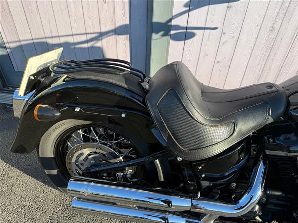 2019 HARLEY-DAVIDSON SOFTAIL FLS SLIM