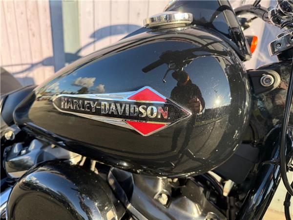 2019 HARLEY-DAVIDSON SOFTAIL FLS SLIM