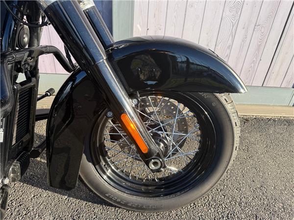 2019 HARLEY-DAVIDSON SOFTAIL FLS SLIM