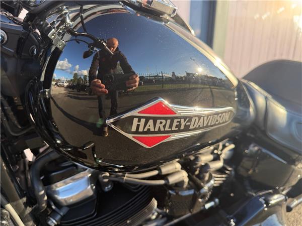 2019 HARLEY-DAVIDSON SOFTAIL FLS SLIM