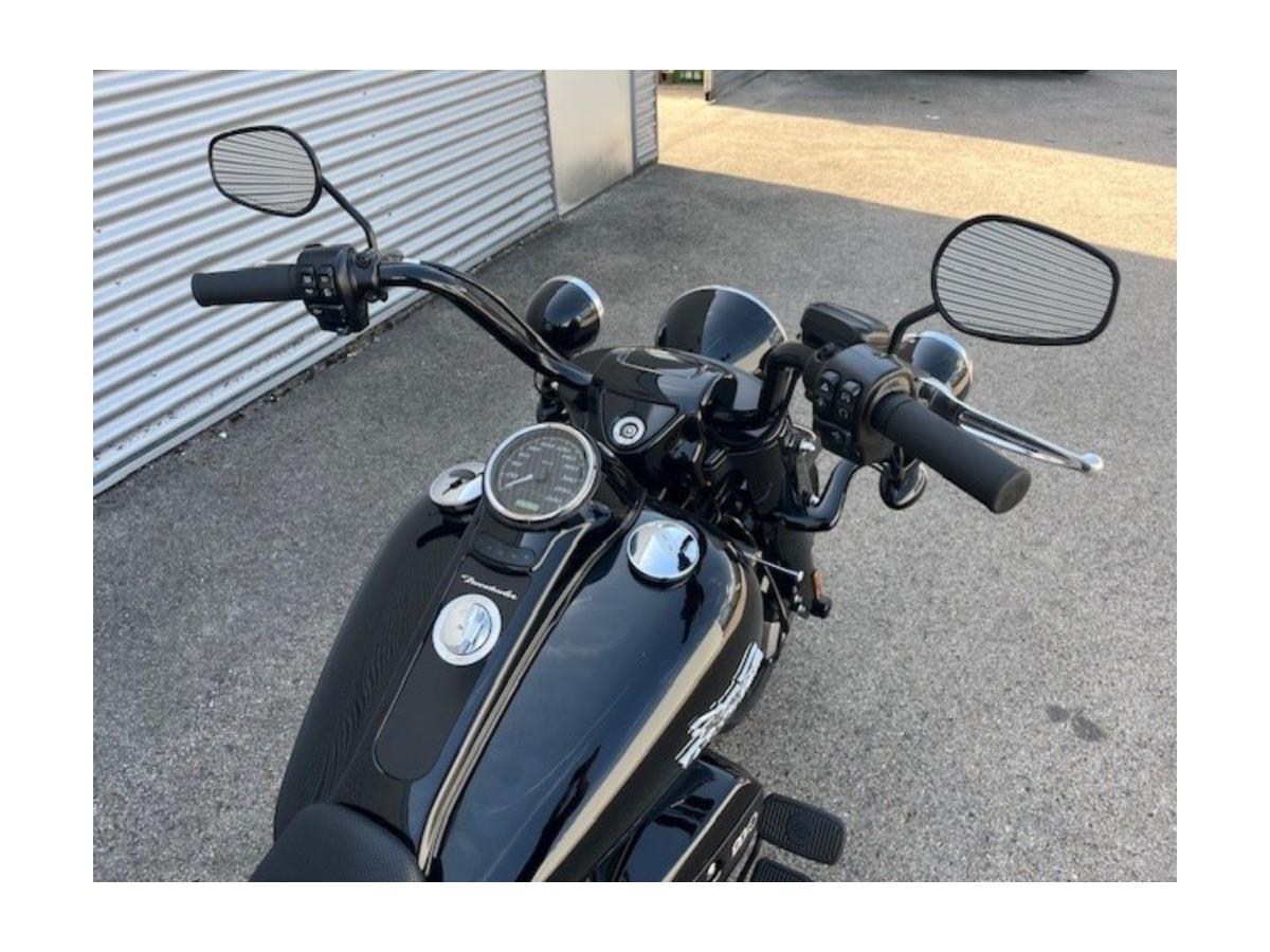 2024 Harley-Davidson Freewheeler