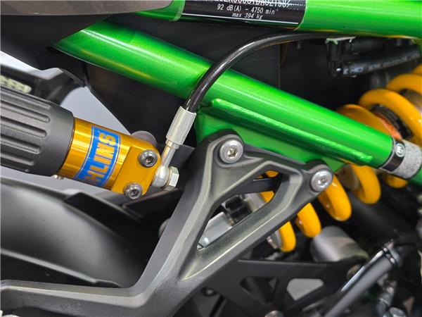 2025 KAWASAKI Z900 SE PERFORMANCE