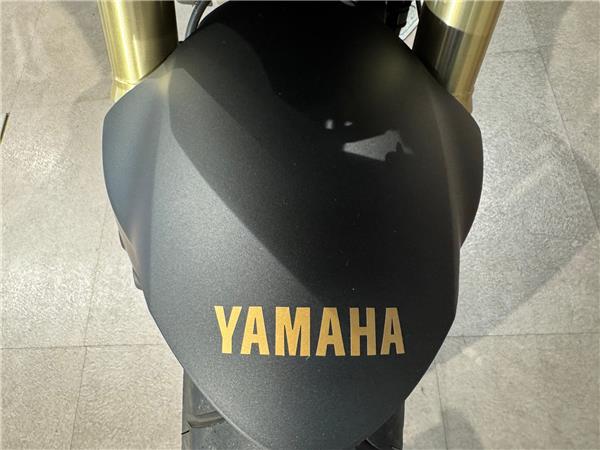 2026 YAMAHA TRACER 9 GT
