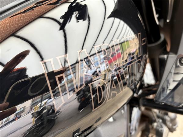 2023 HARLEY-DAVIDSON LOW RIDER ST