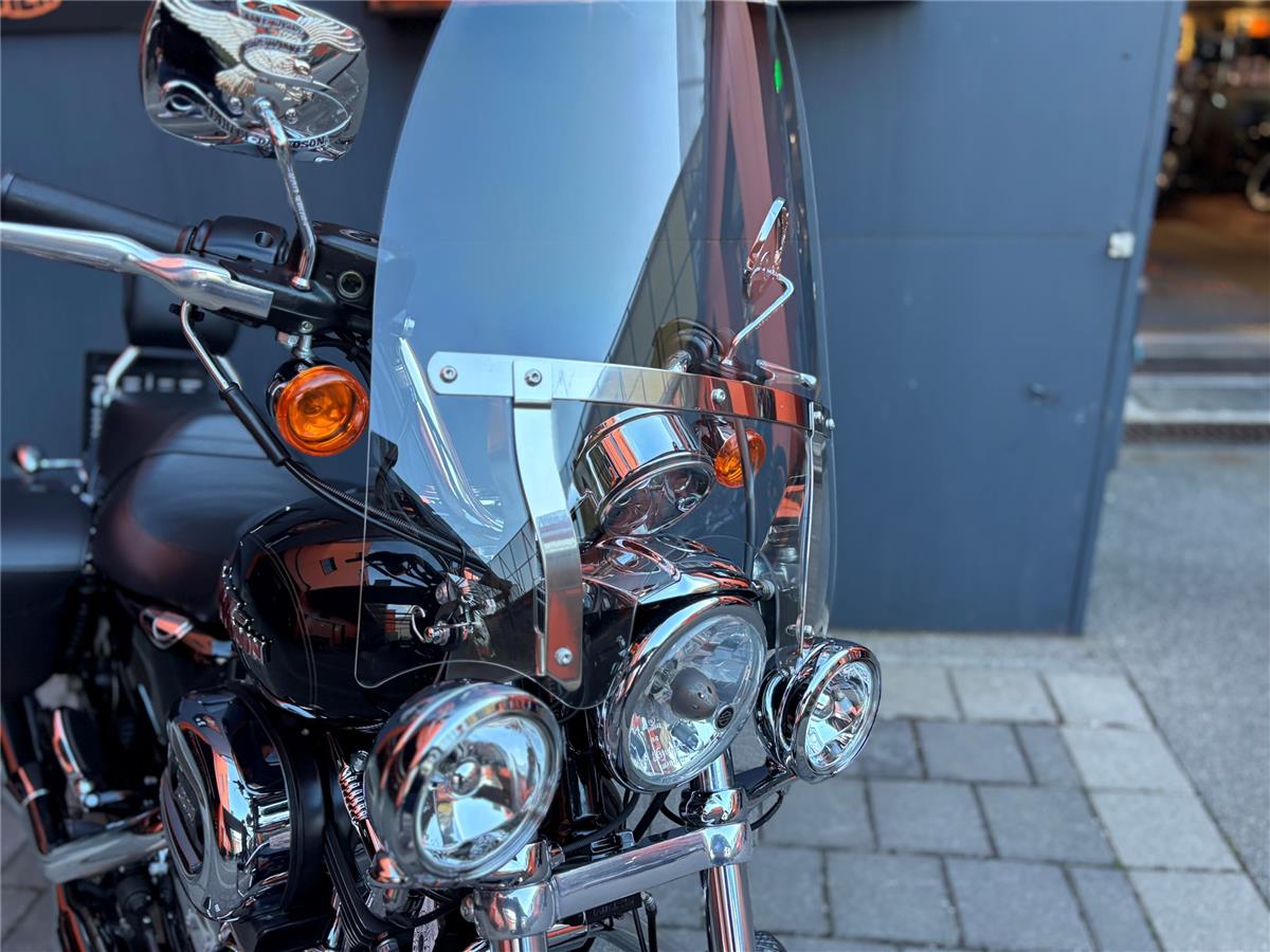 2019 Harley-Davidson Sportster XL 1200T SuperLow