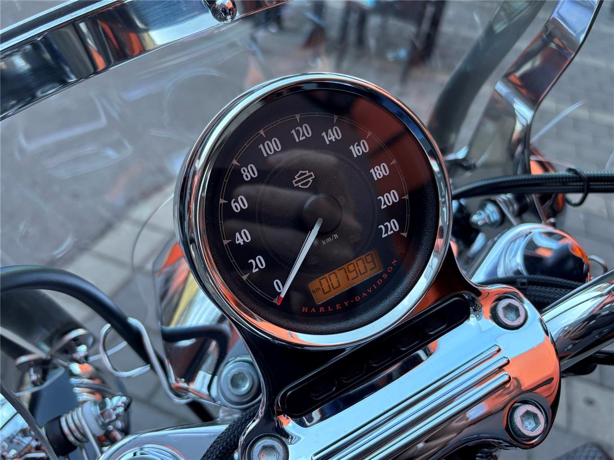 2019 Harley-Davidson Sportster XL 1200T SuperLow