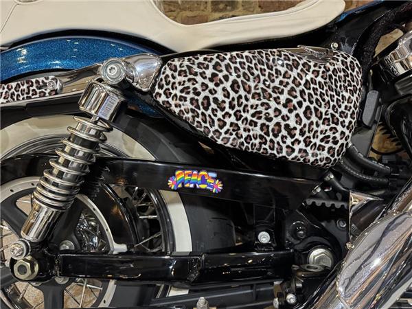 2015 Harley-Davidson Sportster