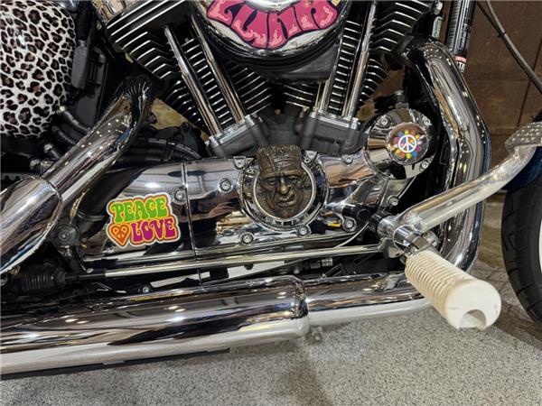 2015 Harley-Davidson Sportster