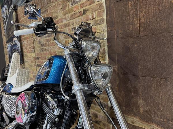 2015 Harley-Davidson Sportster