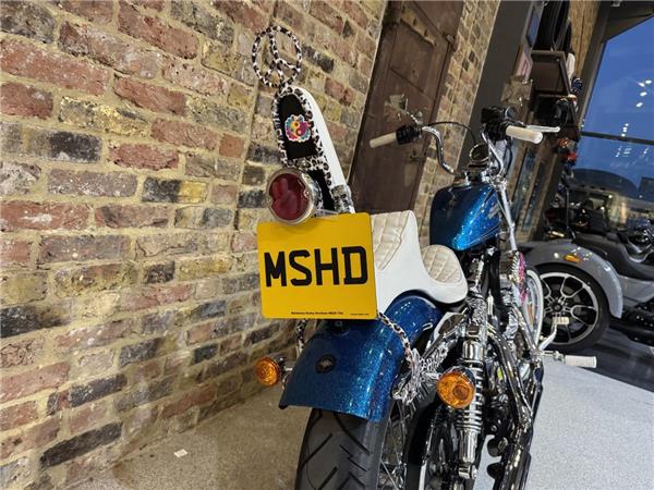 2015 Harley-Davidson Sportster