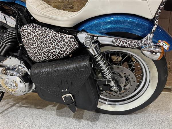 2015 Harley-Davidson Sportster