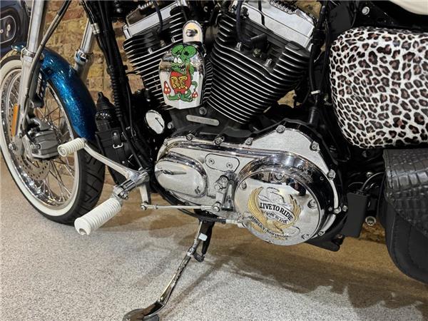 2015 Harley-Davidson Sportster