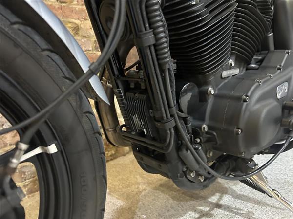 2019 Harley-Davidson Sportster