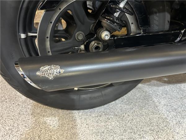 2019 Harley-Davidson Sportster
