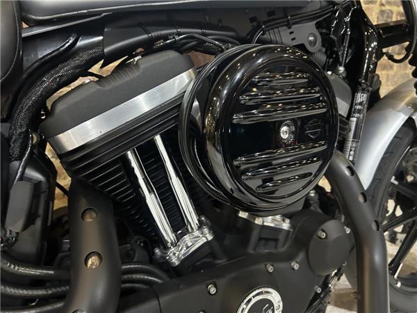 2019 Harley-Davidson Sportster