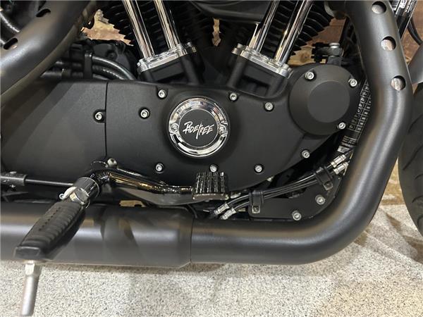 2019 Harley-Davidson Sportster