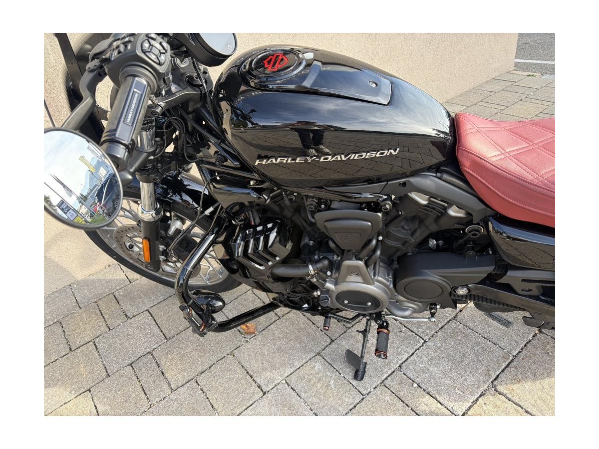 2025 Harley-Davidson Nightster Special