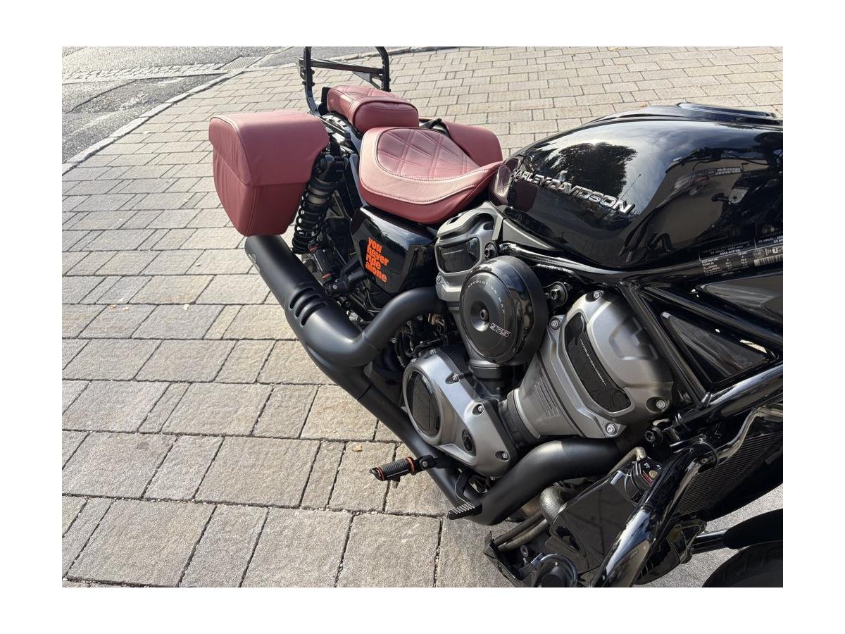 2025 Harley-Davidson Nightster Special