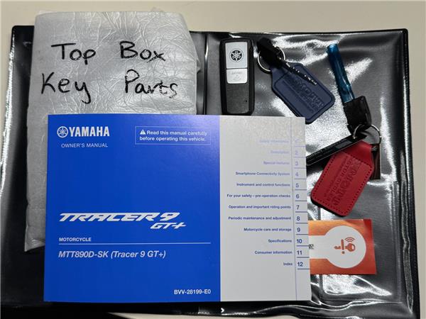 2025 YAMAHA TRACER 9 GT Y-AMT