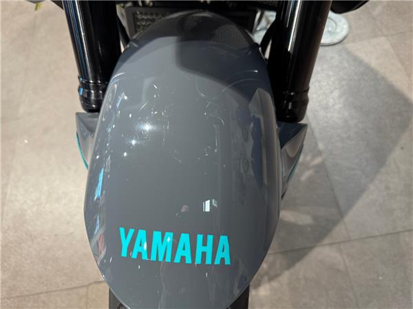 2023 YAMAHA MT-10