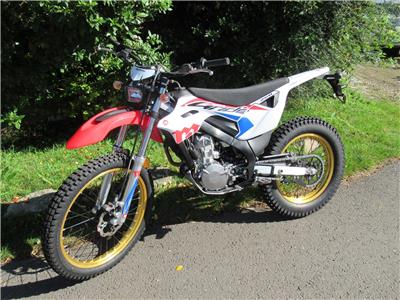 2020 Montesa Honda 4-Ride - BRAND NEW!