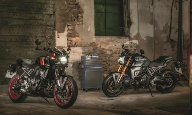Suzuki launches new retro models: GSX-8T and GSX-8TT