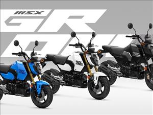 25YM HONDA MSX125 GROM Summary