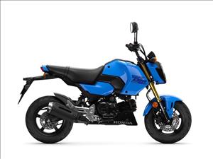 25YM HONDA MSX125 GROM