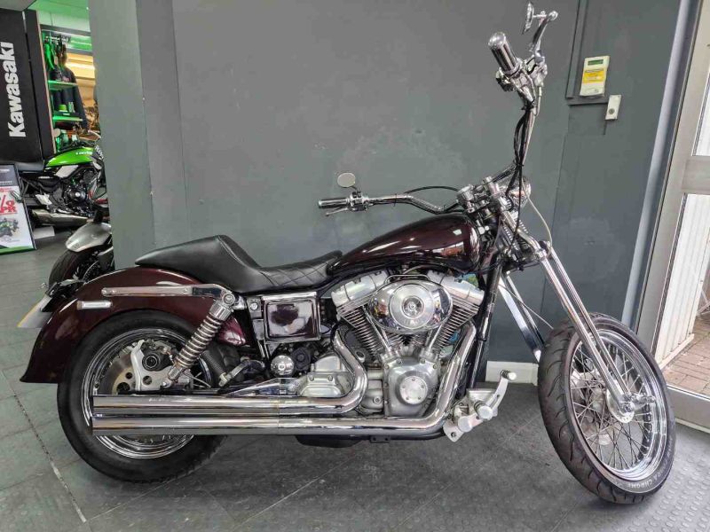 1999 Harley-Davidson FXD BRONZE
