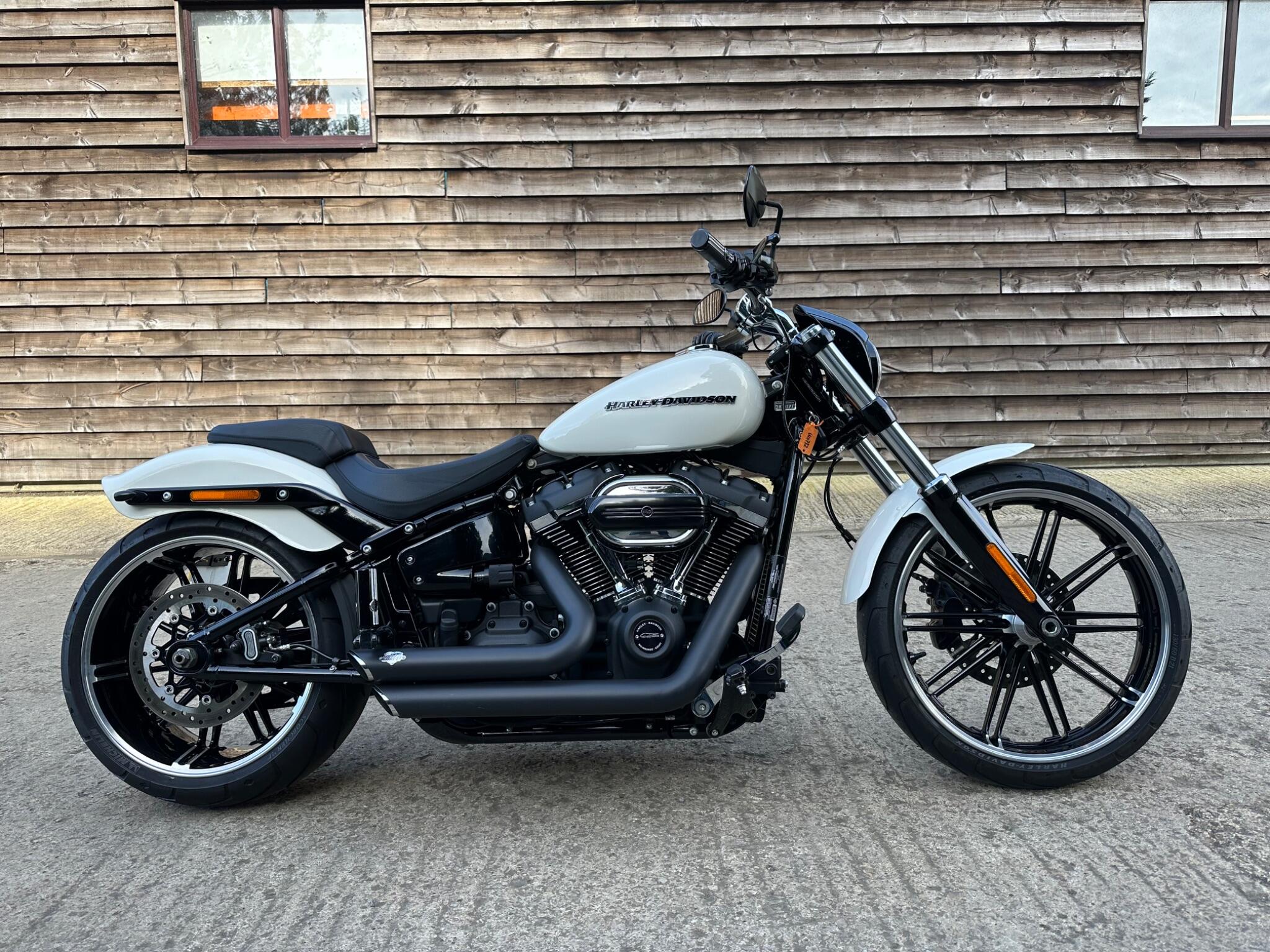 2019 Harley-Davidson Softail