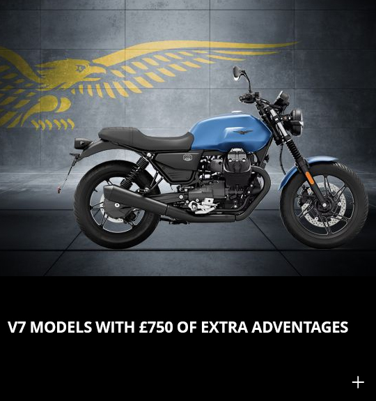 V7 PROMOTION