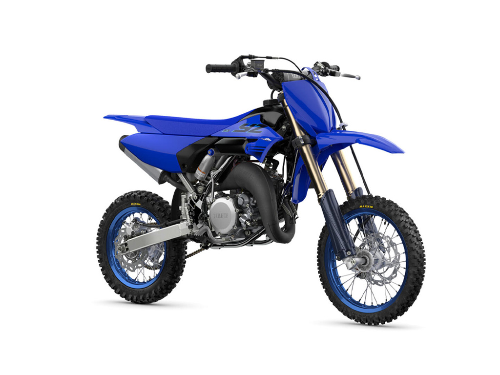 2024 YZ65