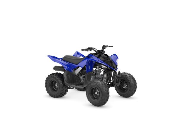 2025 YFM110R Listing Image