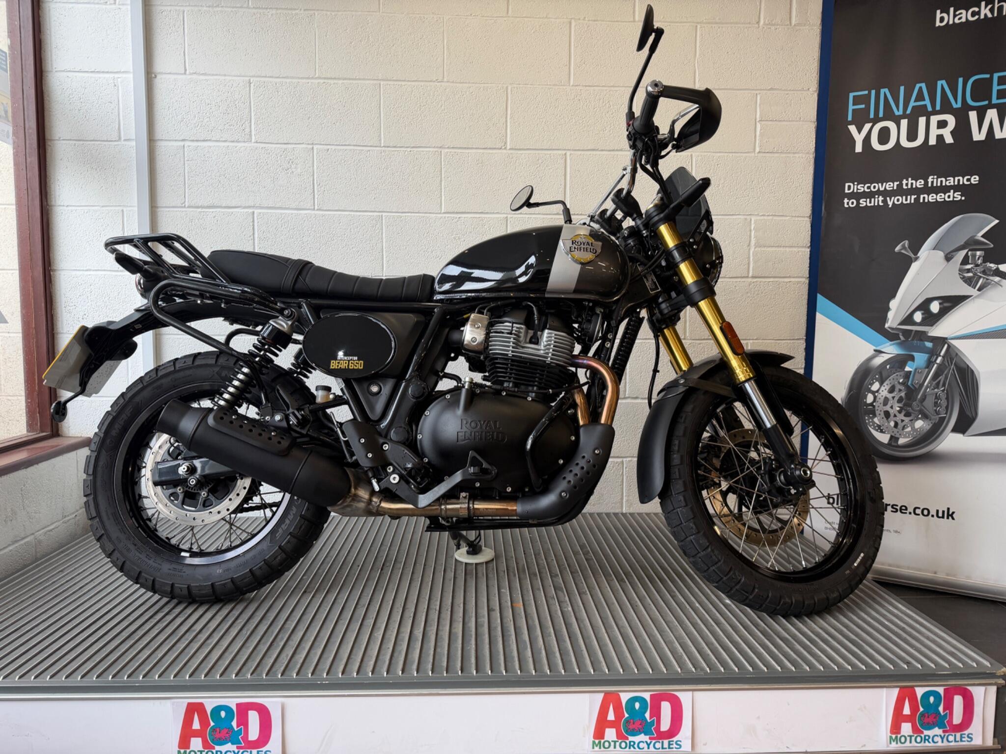 2025 Royal Enfield Bear 650