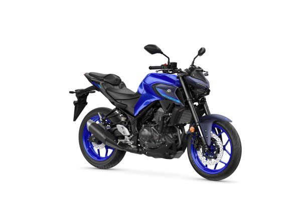 Icon Blue