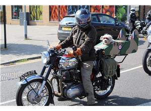 Royal Enfield ONERIDE 2025