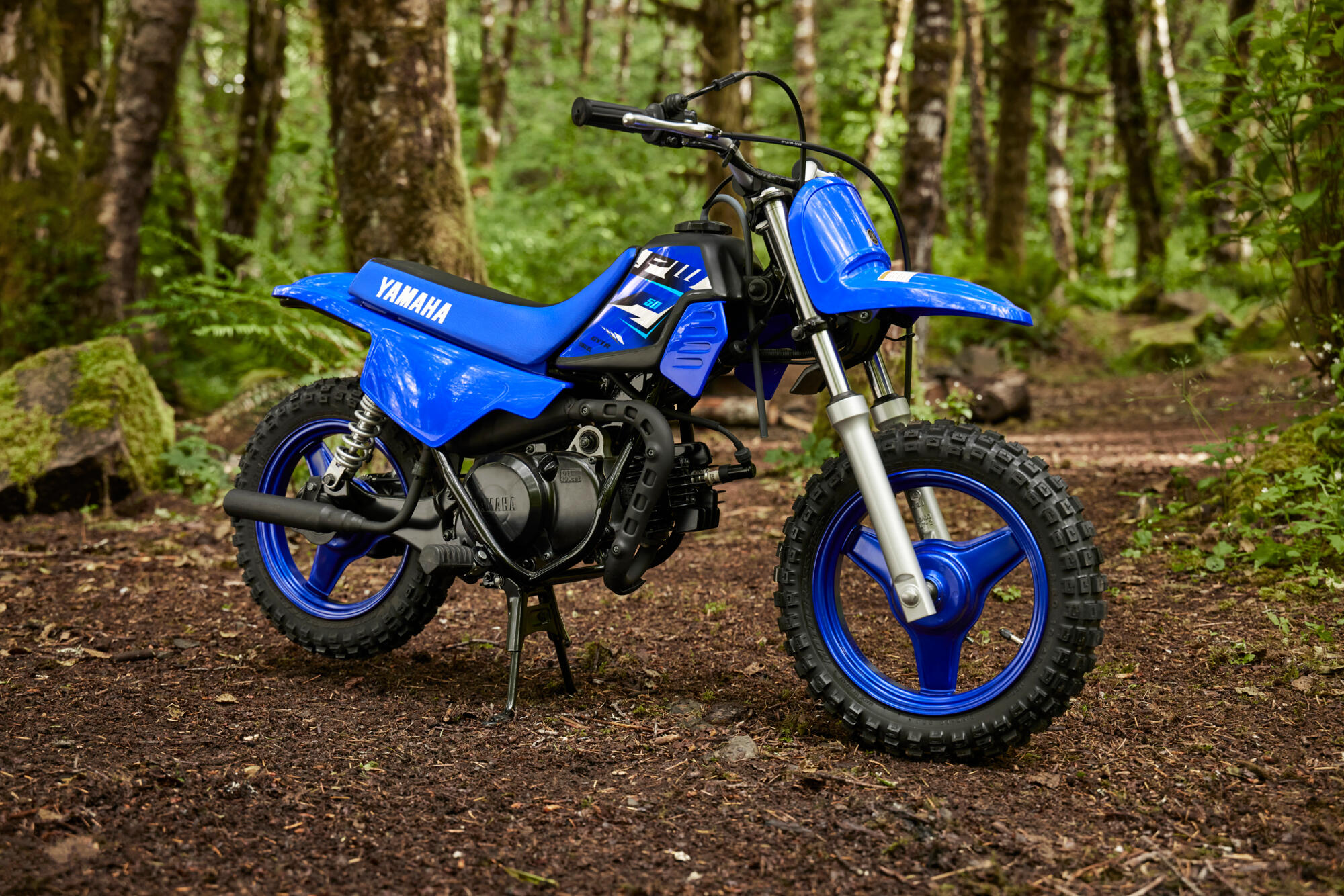 2026 YAMAHA PW 50