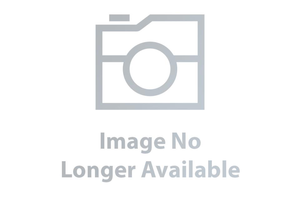 2020 HONDA CRFX 250