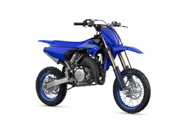 2024-YZ65