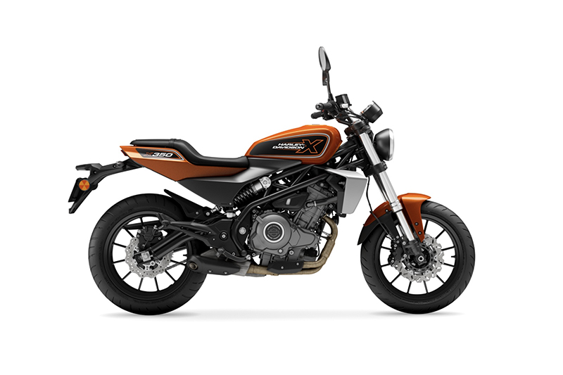 Dynamic Orange