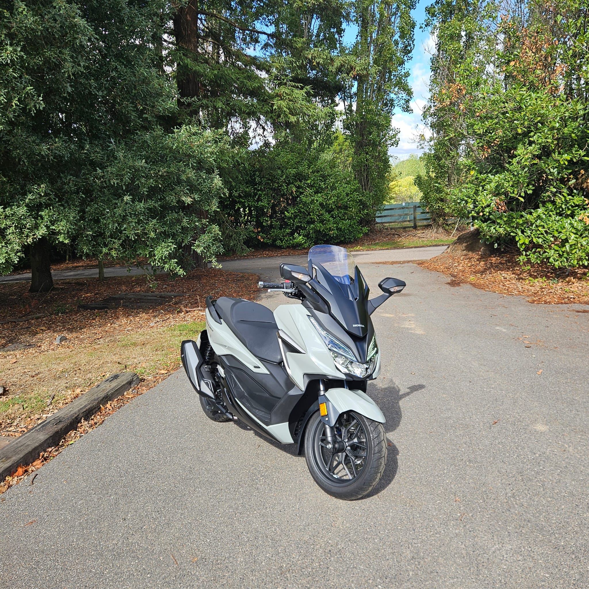 Honda NSS350 Forza