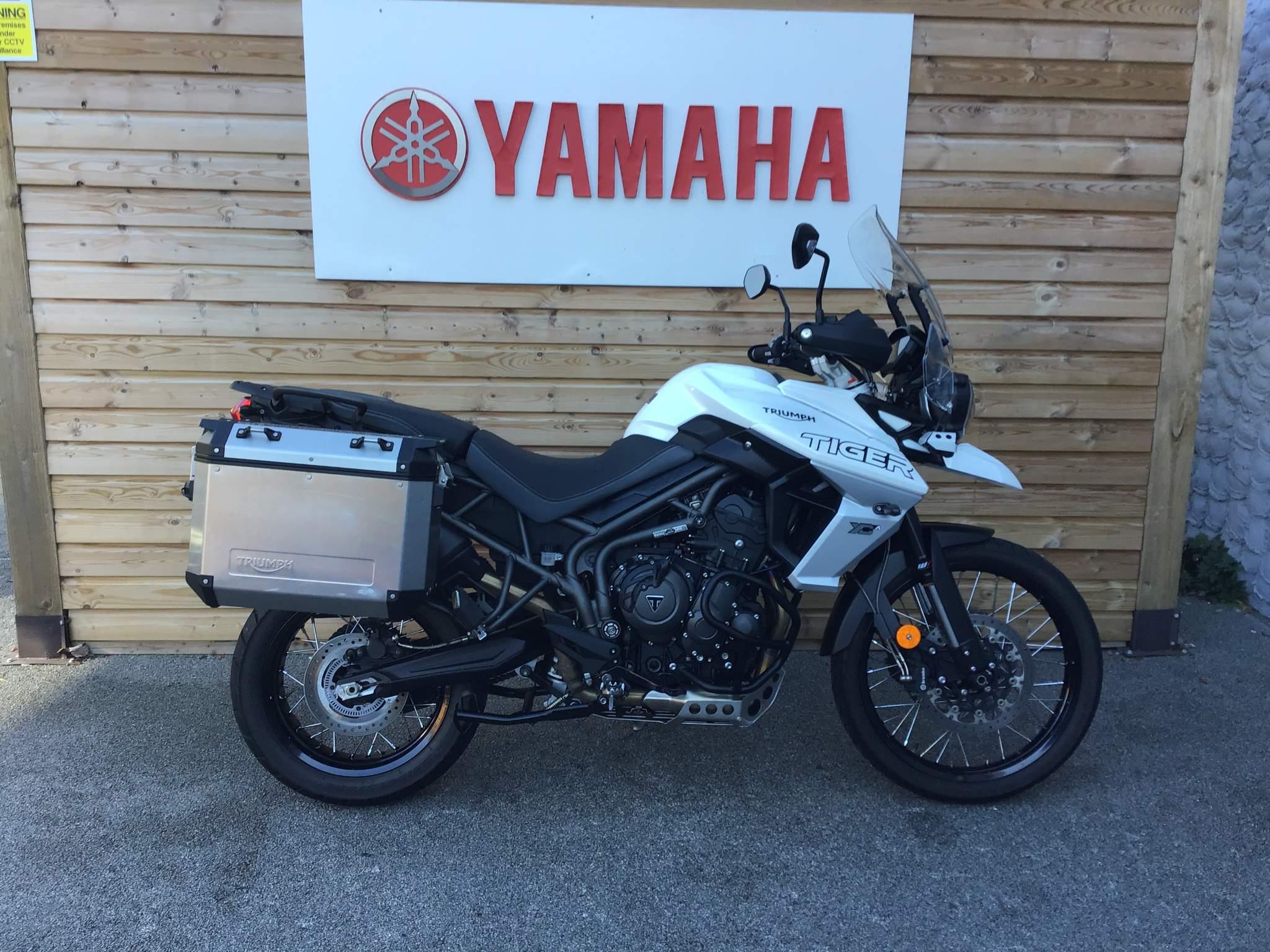 2019 Triumph Tiger 800