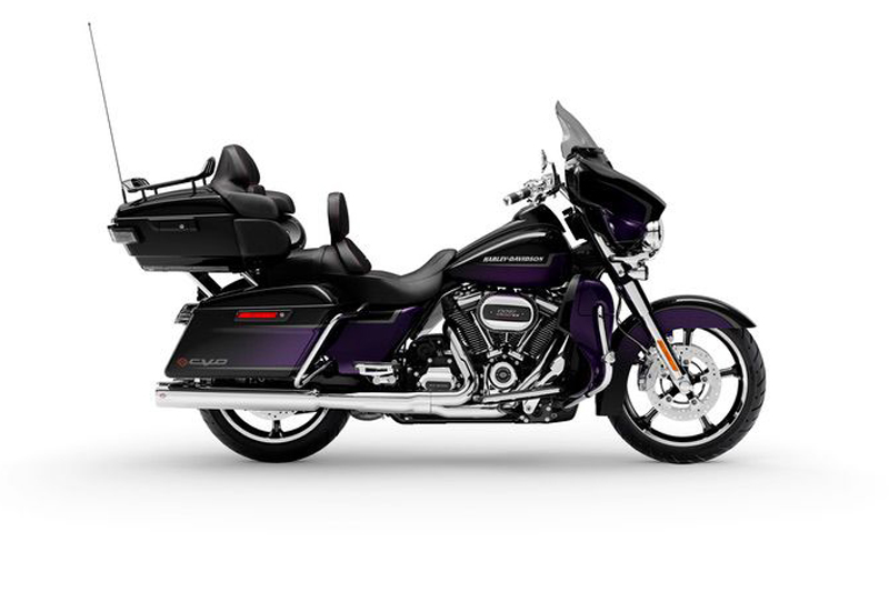 Royal Purple and Royal Black Fade