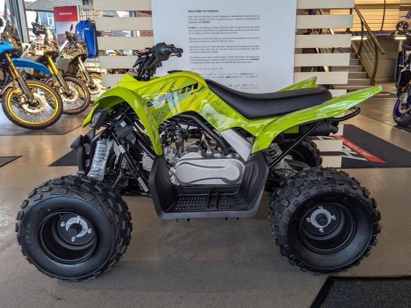 New Yamaha YFM110R