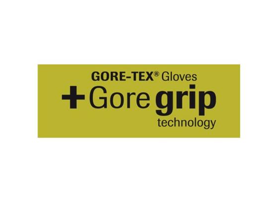 RICHA EXTREME 2 GTX GLV BLK | Lamba 