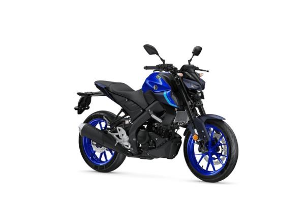 Icon Blue