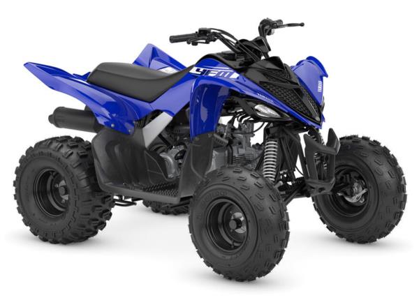2026-YFM110R