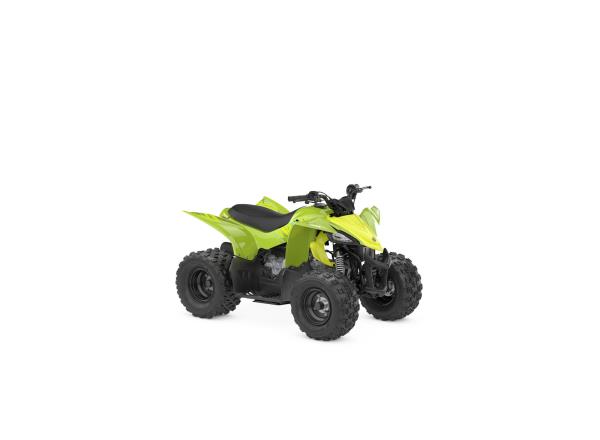 Acid Green