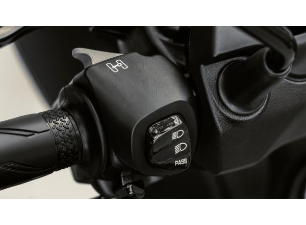 Standing Assist System